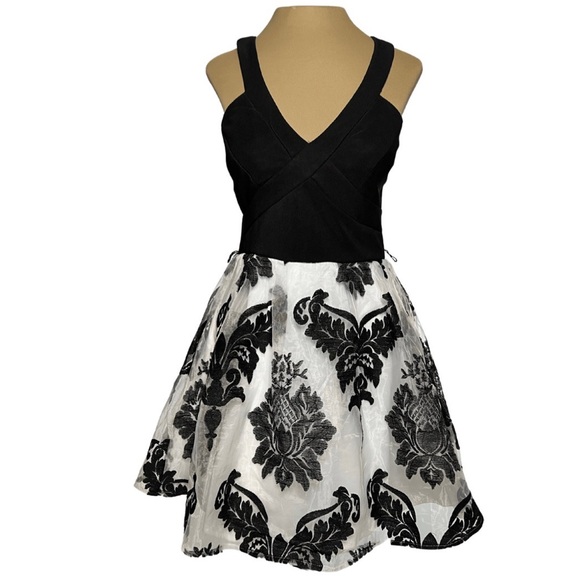 Crystal Doll Black & White Floral Velvet Fit & Flare Dress - Picture 3 of 12